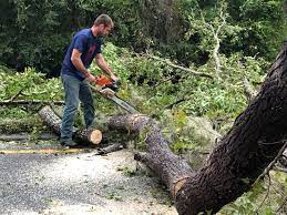 Best Firewood Processing and Delivery  in Ellsworth, ME