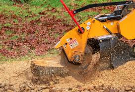Reliable Ellsworth, ME Tree Care Solutions