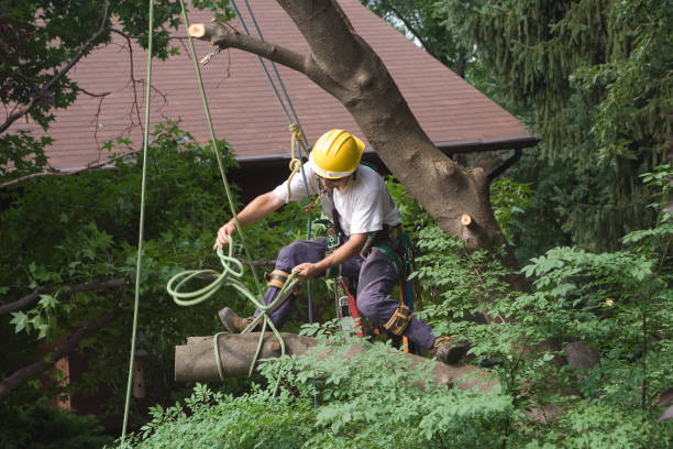 Best Aeration Services  in Ellsworth, ME